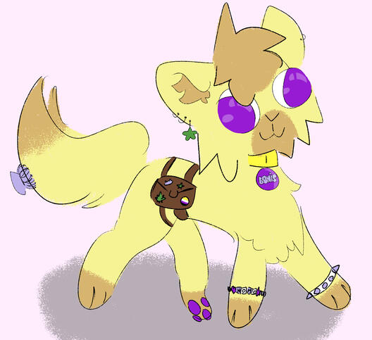 joepaw the silly cat