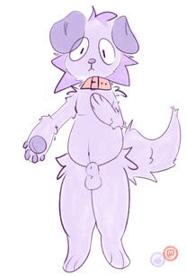 Jaffa presenting his paw